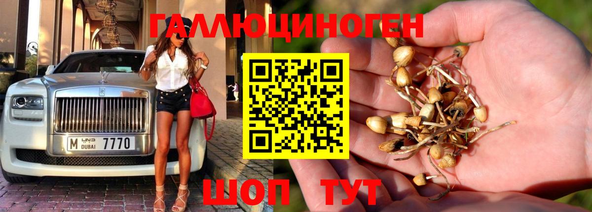 Мценск  Псилоцибиновые грибы Cubensis  Вход с VPN  Галлюциногенные грибы мухоморы 