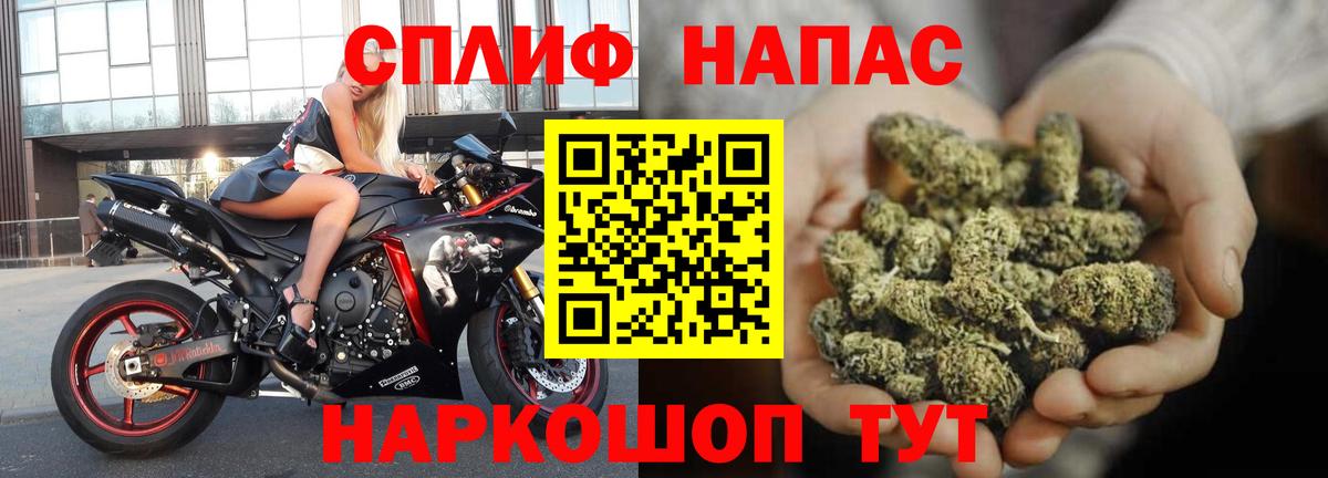 Канабис White Widow Мценск